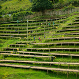 Rwanda / Gatare